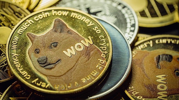 FLOKI币强势上涨背后：TokenFi即将登场引发的市场狂欢