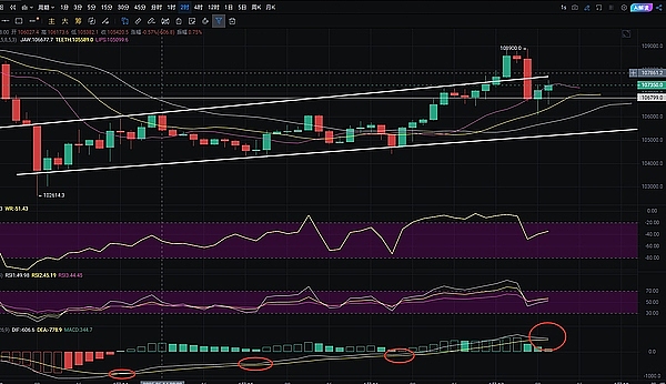 我眼中的ORDI：一场加密货币界的草根革命