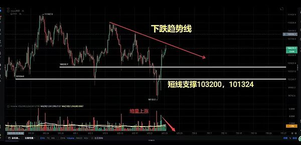 NFT的时光魔法：8个会成长的数字藏品