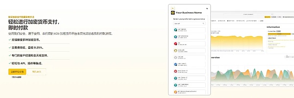 沙漠中的金融革命：CamelPayment如何重塑阿联酋经济版图