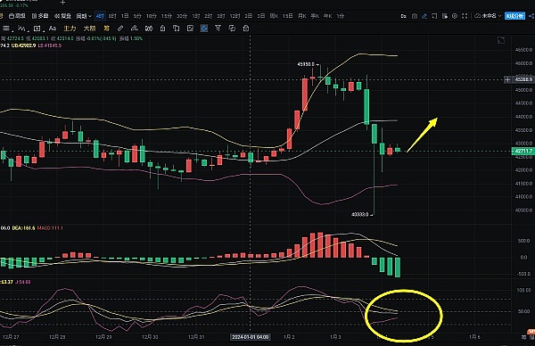 以太坊的体检中心：Rated如何让区块链运维更轻松