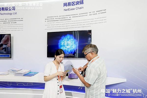 熊市中的惊喜发现：Doubler项目为何让我眼前一亮